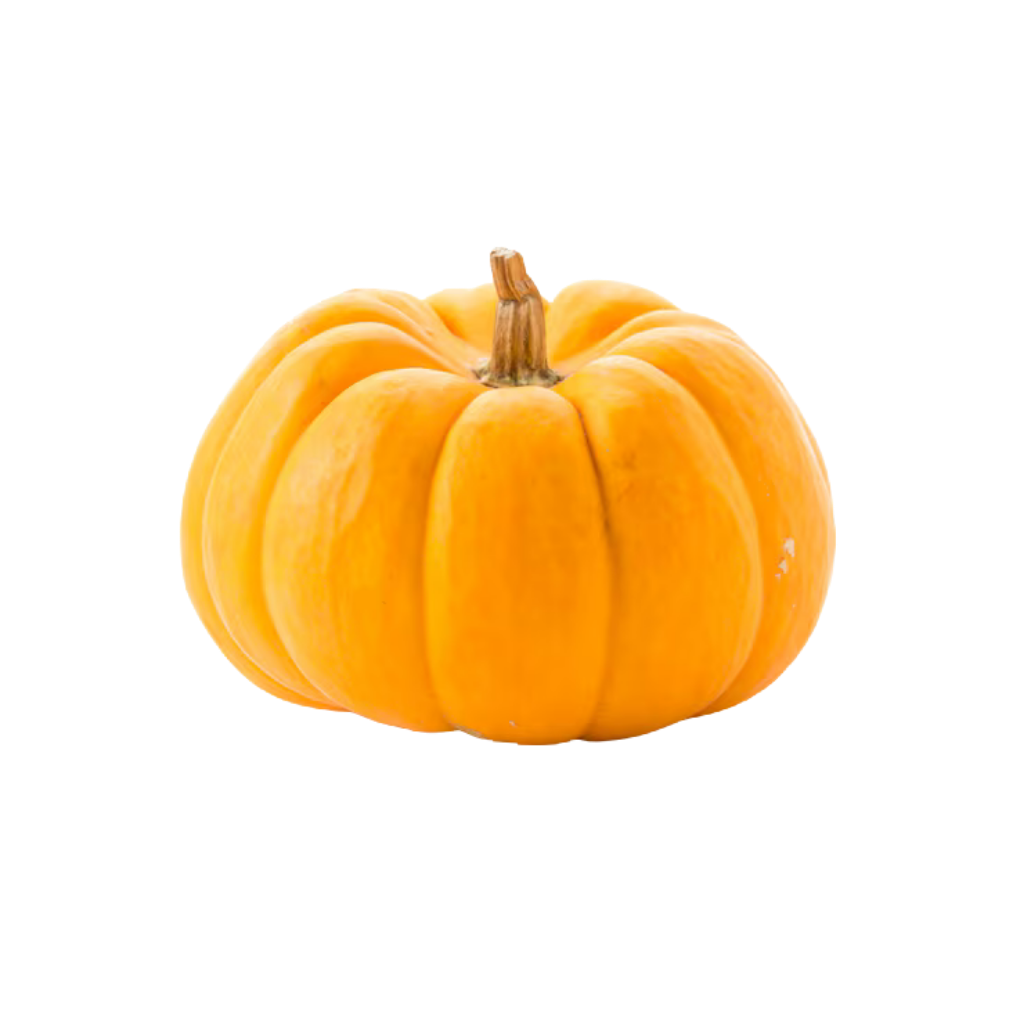 Pumpkin Yellow 1 lb buy online USA - 1